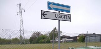 Ecovandali dello Spak di Treviso, beccati e multati