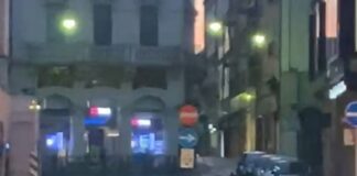 Capriolo corre per le vie del centro di Treviso (VIDEO)