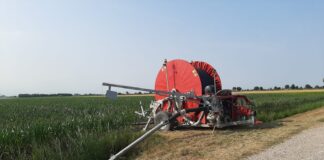 Agricoltura, allarme siccità. Cia Venezia: occorre un piano invasi