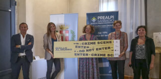 I grandi gialli invadono i musei di Treviso