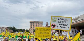 Oggi a Venezia il flash mob di Coldiretti Veneto #stopcinghiali Il flash mob #stopcinghiali di Coldiretti Veneto