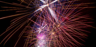 Botti di fine anno, l’appello di Cereser Fuochi d'artificio(foto di repertorio)