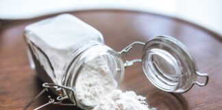 Tarme della farina: l’uso alimentare nel progetto “Farm to fork”