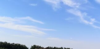 In corso la campagna 2021 di Ca’ Foscari, con ricercatori e studenti pronti ad accogliere i visitatori mercoledì 28 alle 17 Studenti di Archeologia ad Altino