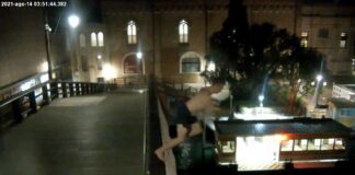 Si tuffa dal Ponte dell’Accademia: uomo denunciato e sottoposto a Daspo Tuffo dal Ponte dell'Accademia