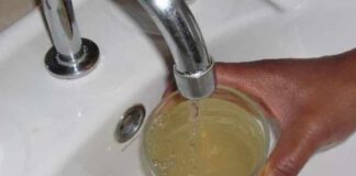 Fanzolo, acqua ripulita dai batteri coliformi ed Escherichia Coli acqua inquinata