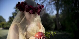 Tema Cultura Academy da Treviso al palco dell’Olimpico di Vicenza