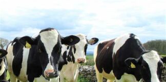 Coldiretti pronta a scendere in piazza per difendere le stalle