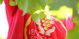 Tutto pronto per la Vendemmia Social-e quest’anno a sostegno della Lilt