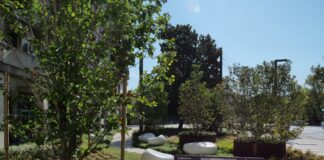 Apre a piazzale Cialdini “Il Giardino delle Magnolie”, un’area verde accessibile e inclusiva