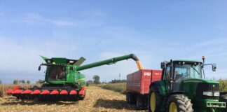 Procede la raccolta di mais, barbabietole e soia nel veneziano La trebbiatura del mais