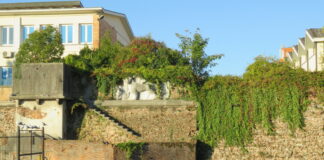 Il Leone di Santa Sofia riportato al suo antico splendore