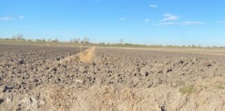 Nutrie, la Coldiretti sulla mozione del Consiglio della Regione Veneto