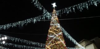 In Piazza Ferretto l’accensione del grande albero e delle luminarie Il grande albero di Natale acceso in Piazza Ferretto