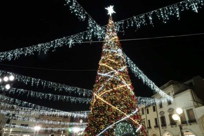 Il grande albero di Natale acceso in Piazza Ferretto