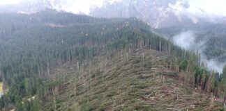 Tempesta Vaia, via libera ad altri stanziamenti extra