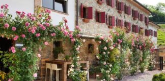 Terranostra Treviso, 120 agriturismo “respirano” grazie al PNRR: credito d’imposta all’80%