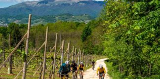 Nova Eroica Prosecco Hills, Zaia “Evento che unisce Colline Unesco e ciclisti eroici”