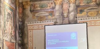 Agli ospedali della Marca ben 18 bollini rosa