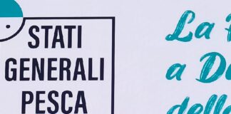 Stati Generali della Pesca convocati a Chioggia Alessandro Faccioli durante l'intervento agli stati generali della pesca