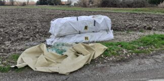 Mira, ancora abbandoni di amianto sul territorio comunale Amianto abbandonato a Malcontenta