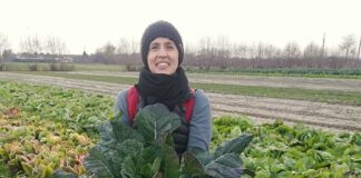 L’arte di coltivare arriva nel web con lezioni via Zoom di agroecologia