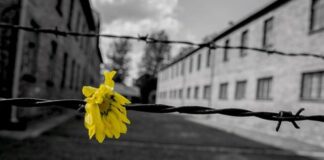 Giorno della Memoria, Zaia da Montecitorio “Amicizia a Comunità Ebraica” Giorno della Memoria - foto di repertorio