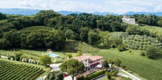 Bilancio positivo per il vino: chiude l’anno con 20 milioni Giusti