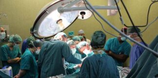 Trapianti, con 528 operazioni il Veneto ha il record nazionale