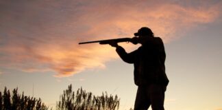 Caccia, il Veneto elabora aggiustamenti dopo il “no” della Consulta