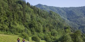 Ciclovie Turistiche, assegnati dal Governo 37 milioni al Veneto per costruire 84 km fino al 2026