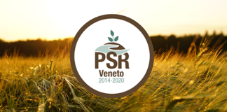 Piano di Sviluppo Rurale, Caner “Obiettivo conseguito, il Veneto spende bene e presto”