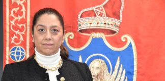 Elisabetta Pesce è il nuovo assessore alla Sicurezza del Comune di Venezia L'assessore alla Sicurezza Elisabetta Pesce