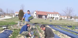 Servizio civile alla Casa di Anna: con le persone e in mezzo alla natura La Casa di Anna a Zelarino