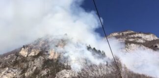 Incendi boschivi in Veneto, Bottacin snocciola i numeri