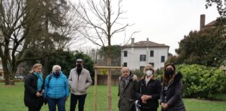 “Giornata del Fiocchetto Lilla”: piantato un ippocastano per ricordare Chiara L'albero piantato in memoria di Chiara