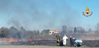 Sterpaglia in fiamme a Sant’Erasmo I Vigili del Fuoco domano l'incendio di sterpaglia a Sant'Erasmo