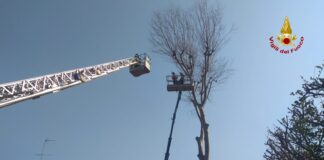 San Dona’, due operai bloccati a 20 metri di altezza