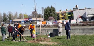 Primo giorno di Primavera: alle scuole Ancillotto i bambini piantano un frassino tutto loro