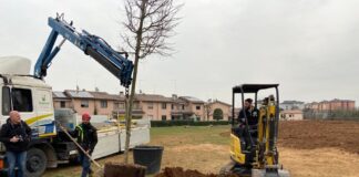 Nuovo bosco urbano di S. Paolo, primo albero già messo a dimora