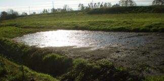 Chioggia, al via i lavori sull’arginatura sinistra dell’Adige L'arginatura sinistra del fiume Adige a Chioggia