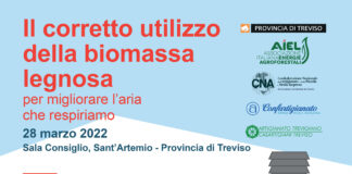 Impianti a Biomassa Legnosa: in Provincia un convegno
