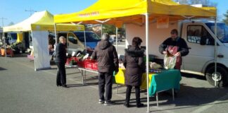 Nuove concessioni per i mercati di Treviso