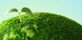 Treviso e le Università di Padova e Venezia assieme per l’ambiente