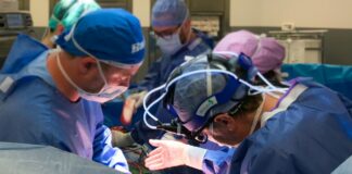 17 trapianti in 48 ore: stratosferico record chirurgico Padova