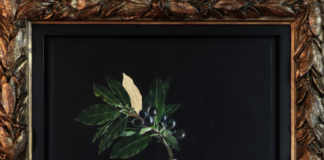 59^ Esposizione Internazionale d’Arte: presentato “Alloro” l’allestimento del Padiglione Venezia 2022