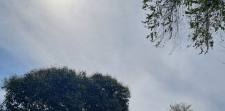 Inaugurato questa mattina, al parco San Giuliano, il nuovo canile sanitario dell’Ulss 3 “Serenissima”