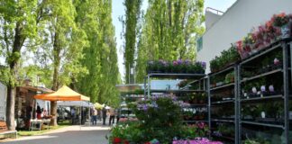 Questo fine settimana il “Bissuola Spring Fest-Venice Flower Power”