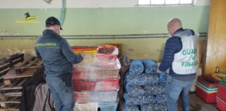 La Guardia di Finanza di Chioggia sequestra un centro di lavorazione di molluschi bivalvi privo di ogni autorizzazione