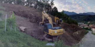 Disboscamento Premaor a Miane fu legittimo, c’è il verdetto